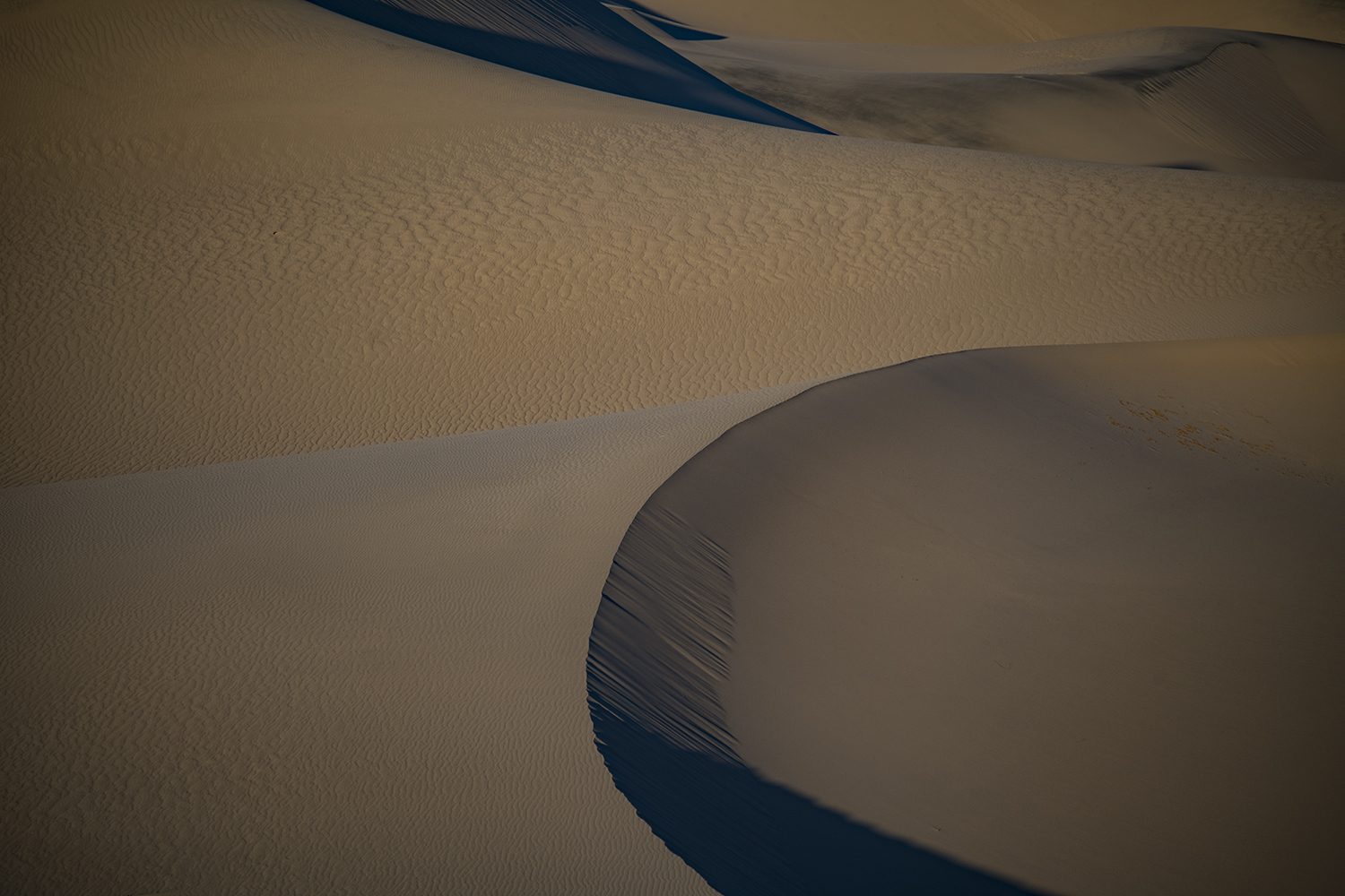Mesquite Flat Dunes, Death Valley NP 9983